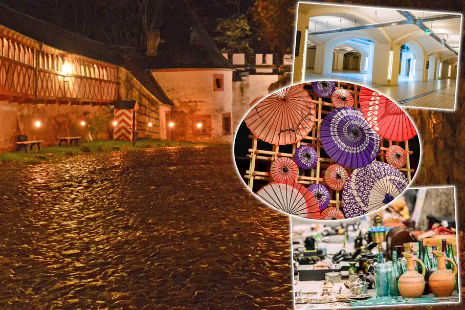 Dresden: Sieben Tipps für Euren Samstag: Das erlebt Ihr heute in Dresden und Umgebung