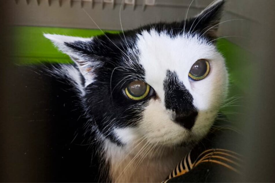 Sie fasst nicht gleich zu jedem Vertrauen, Menschen müssen es sich erst verdienen.