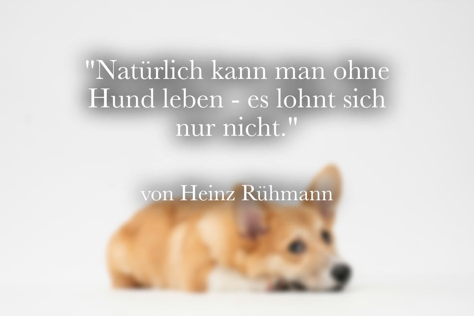 Heinz Rühmann sagte: "Natürlich kann man ohne Hund leben - es lohnt sich nur nicht."