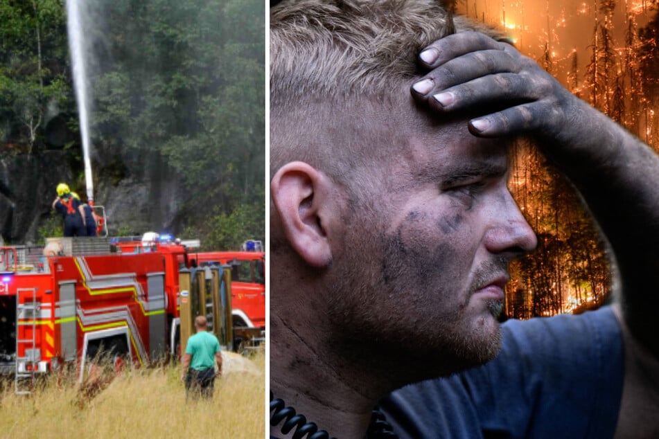 Dresden: Flammen gelöscht! Meisterleistung der Feuerwehr in der Sächsischen Schweiz