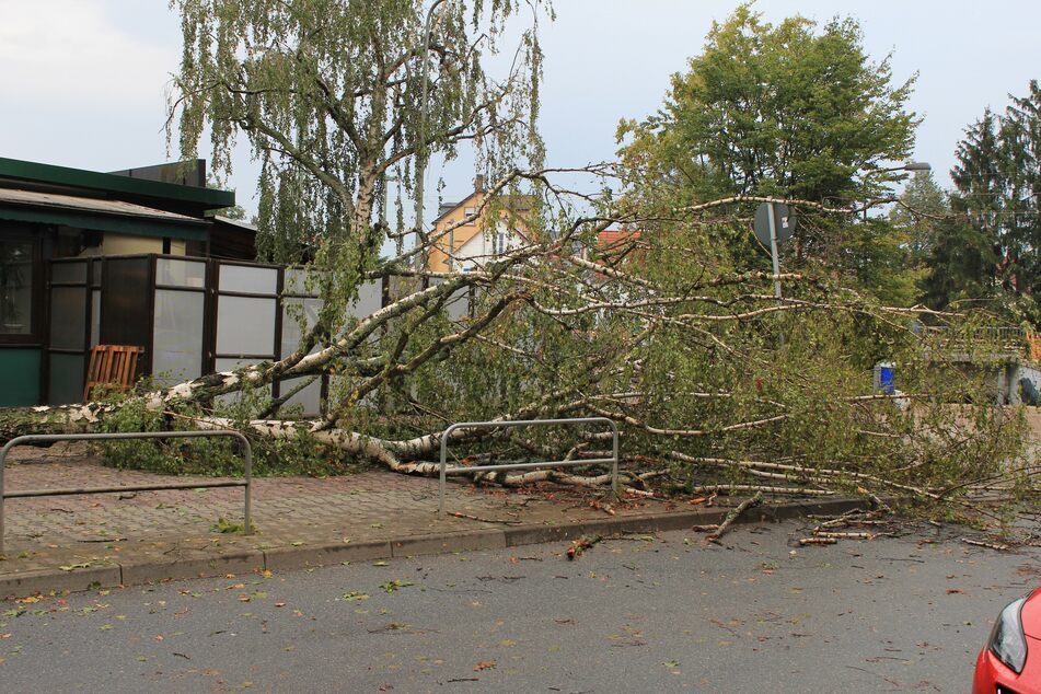 Frankfurt: Unwetter über Frankfurt: Über 300 Einsätze, Bilder der Zerstörung