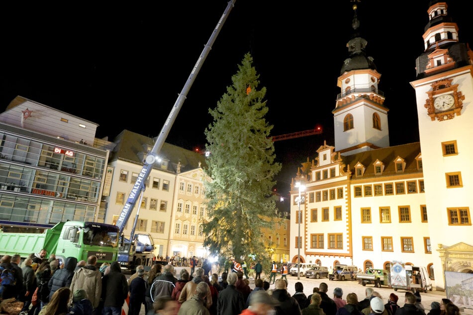 Der Weihnachtsbaum steht: 30 Meter Fichte schmückt den Chemnitzer Markt