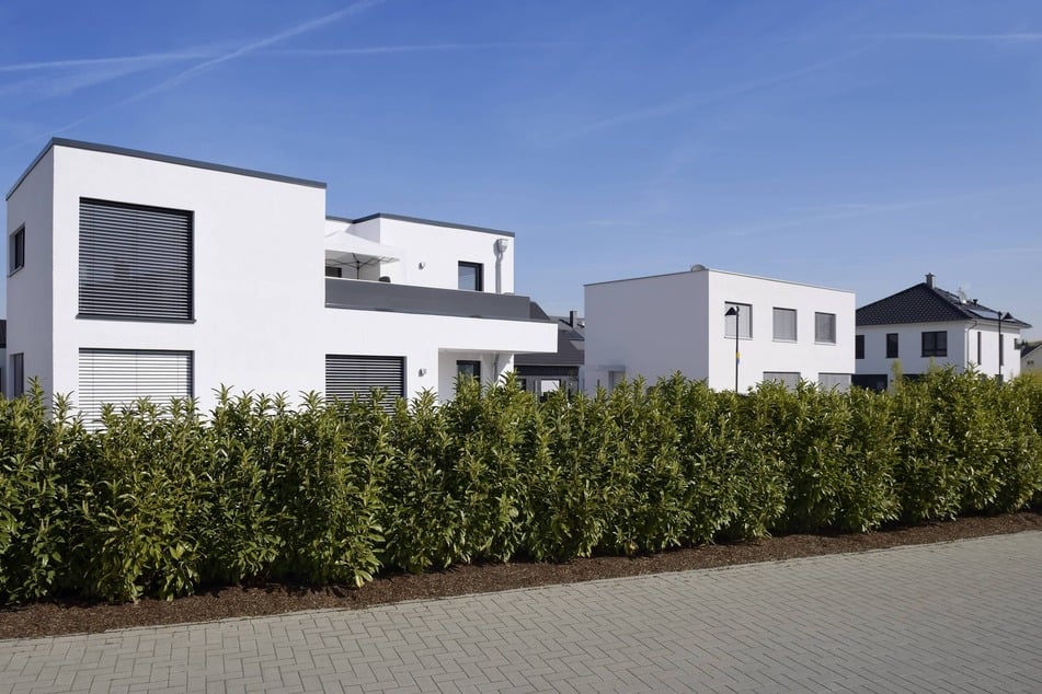 Begrünung rund ums Haus verbessert das Klima und sorgt für Kühlung.