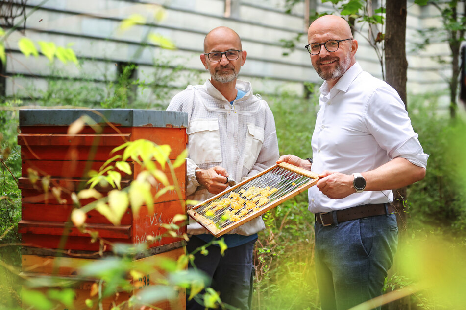 "MyHoney"-Imker Jens Ardelt (57, l.) und Amtschef Thomas Kralinski (51).