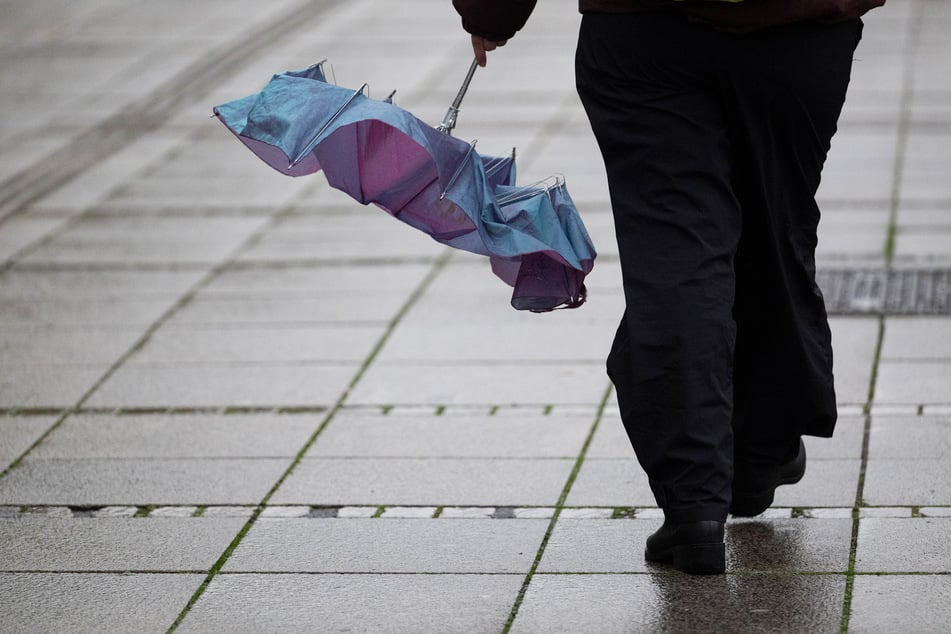 Ab Samstag sollten Kölner lieber ihren Regenschirm mit dabeihaben. (Symbolfoto)