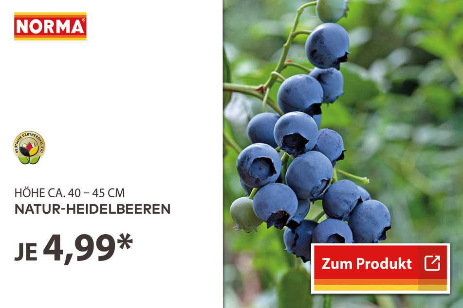 Natur-Heidelbeeren für 4,99 Euro