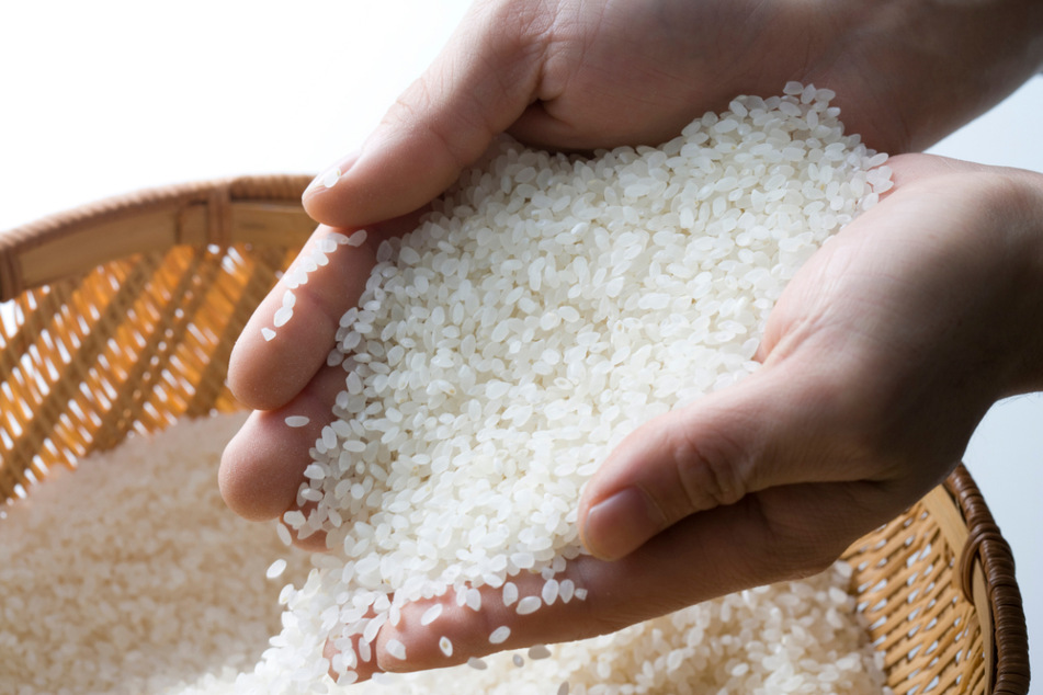 In Indien wird mehrfach am Tag Reis gegessen und vielfältig zubereitet.