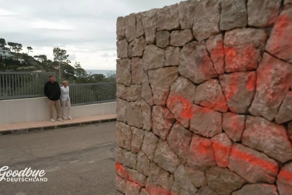 Unter anderem auf den Mauern des Grundstücks hinterließ der Täter fiese Beleidigungen.