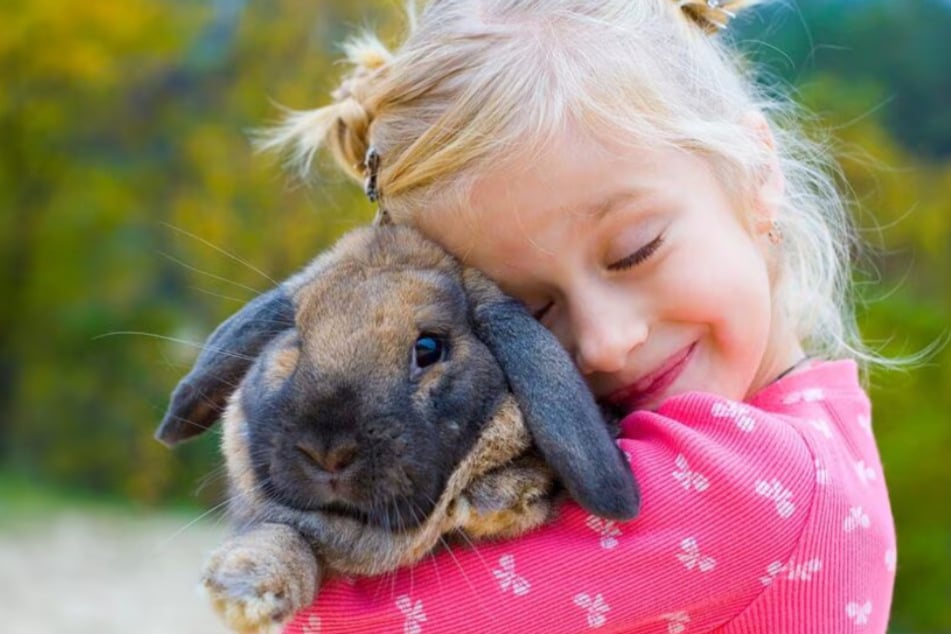 Your pet deserves the best, so shop at Chewy now