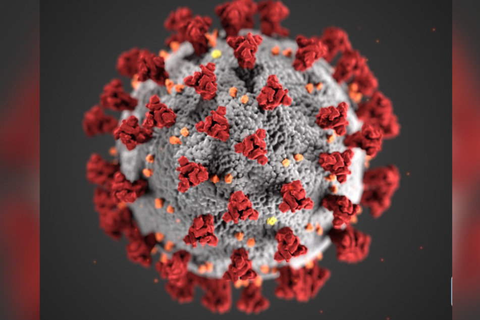 Diese von den Centers for Disease Control and Prevention (CDC) im Januar 2020 zur Verfügung gestellte Illustration zeigt das neuartige Coronavirus.