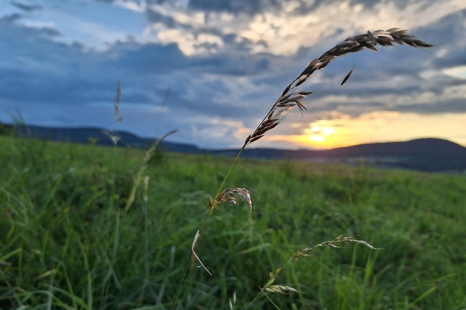 Thüringen-Wetter: So soll der Wochenstart werden!