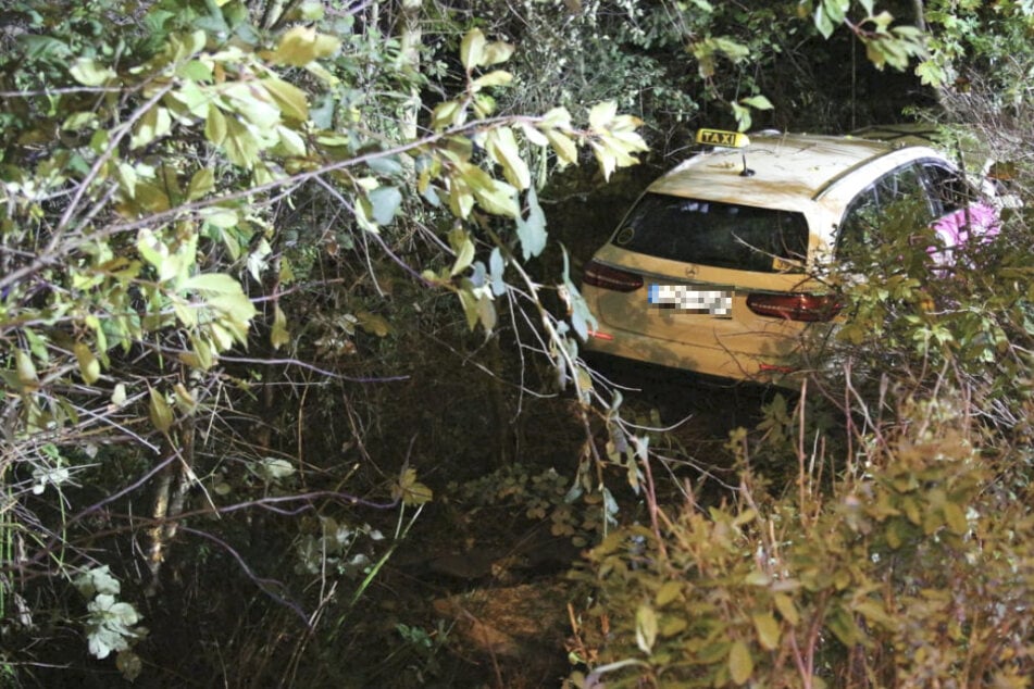 Das Taxi war nach dem Crash auf ein Grundstück geraten und dort gegen einen Baum gekracht.