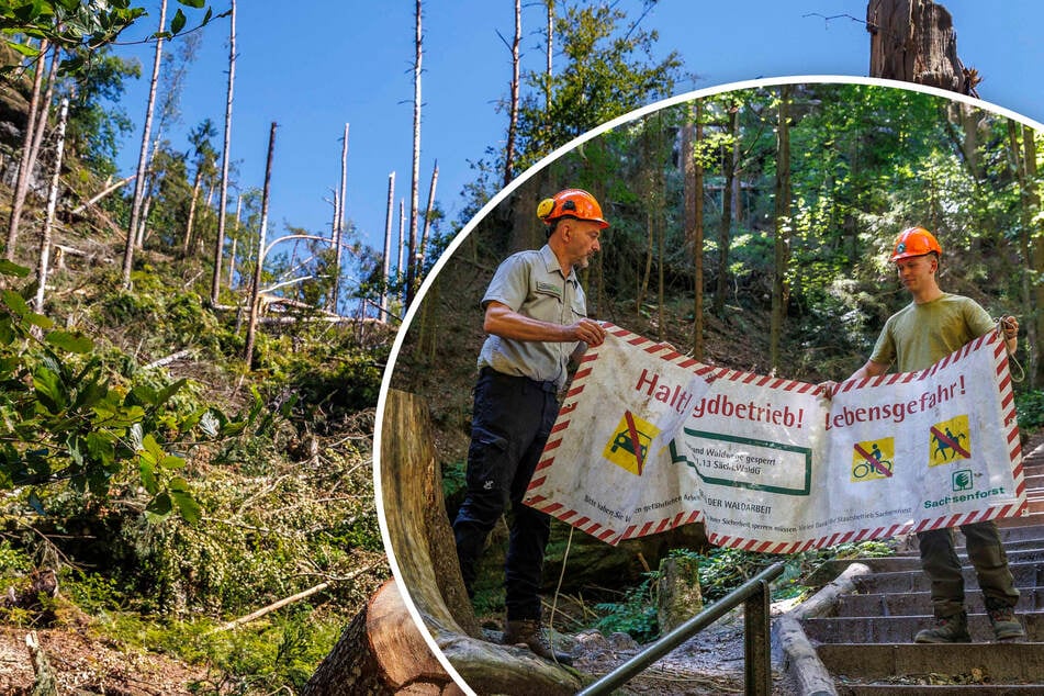 Keine Ruhe nach dem Sturm: Schwedenlöcher wieder frei, aber viel Arbeit kommt noch