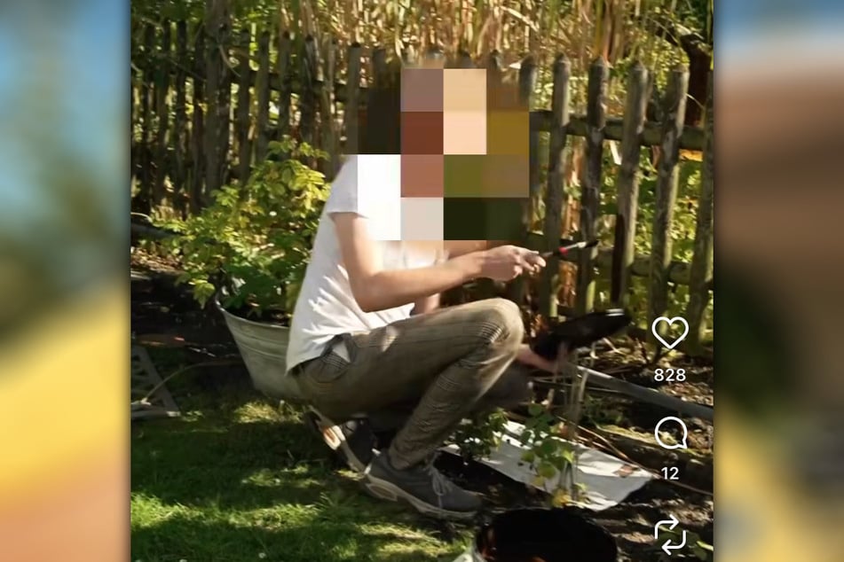 Der "Gärtner" hatte seinen Zaun im Video mit Isolieranstrich versehen. Diese ist Baumann zufolge jedoch umweltschädlich und deshalb verboten.