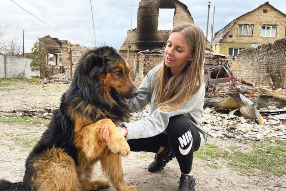 Love-Furry-Friend-Gesicht Olena sitzt laut eigenen Angaben zwischen Ruinen im ukrainischen Dorf Horenka.