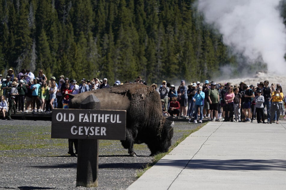 Der Angriff ereignete sich in der Nähe des "Old Faithful"-Geysirs. (Archivfoto)