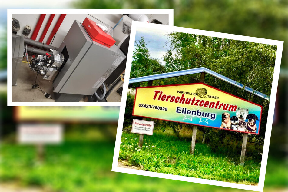 Um all seinen Schützlingen gerecht zu werden, ist das Tierschutzcentrum Eilenburg, besonders nach den Kosten für die Heizung, auf Eure Spenden angewiesen. (Bildmontage)