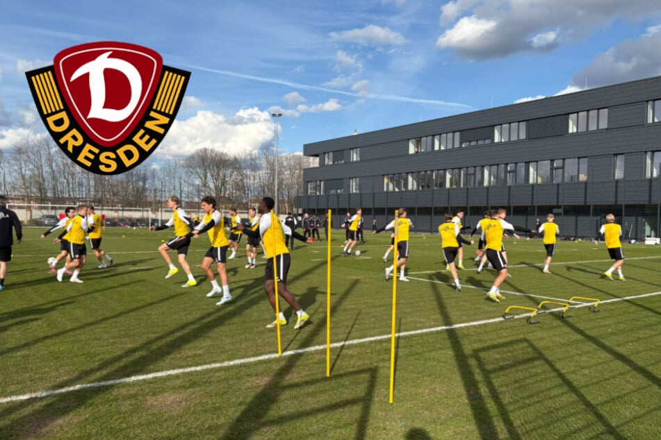 Dynamo-Dresden-Blog: Vinko Sapina fehlt beim öffentlichen Training!