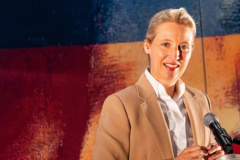 Verwandtenaffäre: AfD-Chefin Weidel weist Vorwürfe als "haltlos und aufgebauscht" zurück