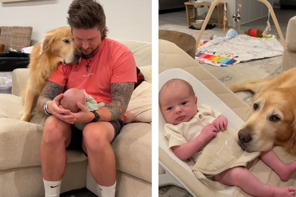 Besitzer zeigen Hund ihr Baby: Was dann passiert, bringt so viele Herzen zum Schmelzen