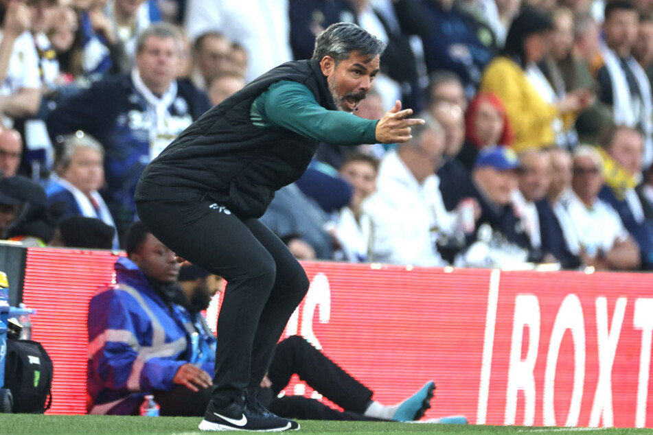 David Wagner (52) stand seit Januar 2023 bei Norwich City an der Seitenlinie. Nun muss er seinen Hut nehmen.