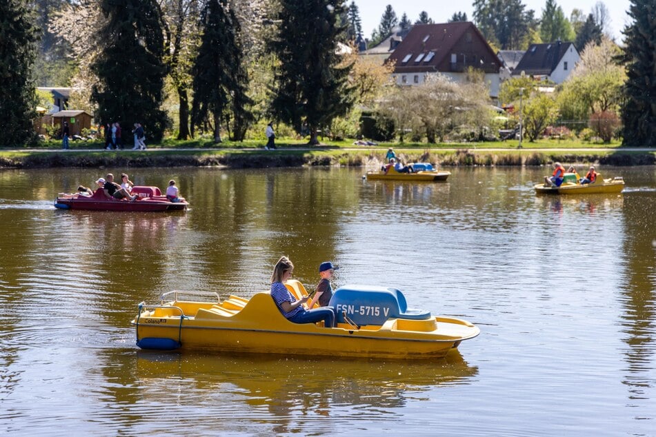 Einige Ausflügler schipperten mit Tretbooten auf dem Pelzmühlenteich.