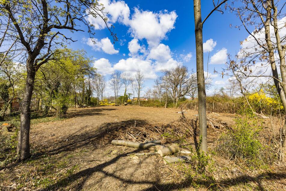 Bis Februar 1945 stand hier eine Stadtvilla, die im Krieg zerstört wurde. Über die Jahre verwilderte die Fläche zunehmend.