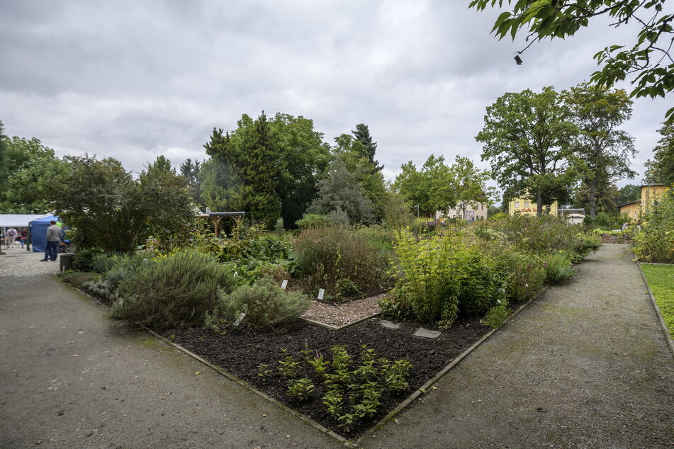 Im Botanischen Garten warten die unterschiedlichsten heimischen Pflanzen auf Euch.