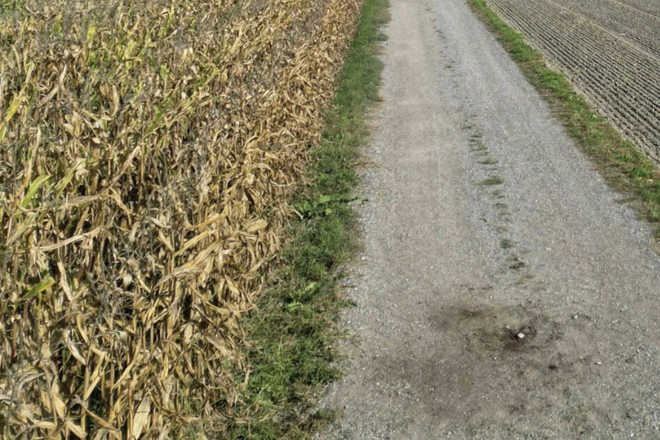 Der tote Hund wurde auf einem Feldweg entdeckt. Nun laufen die Ermittlungen. (Symbolfoto)