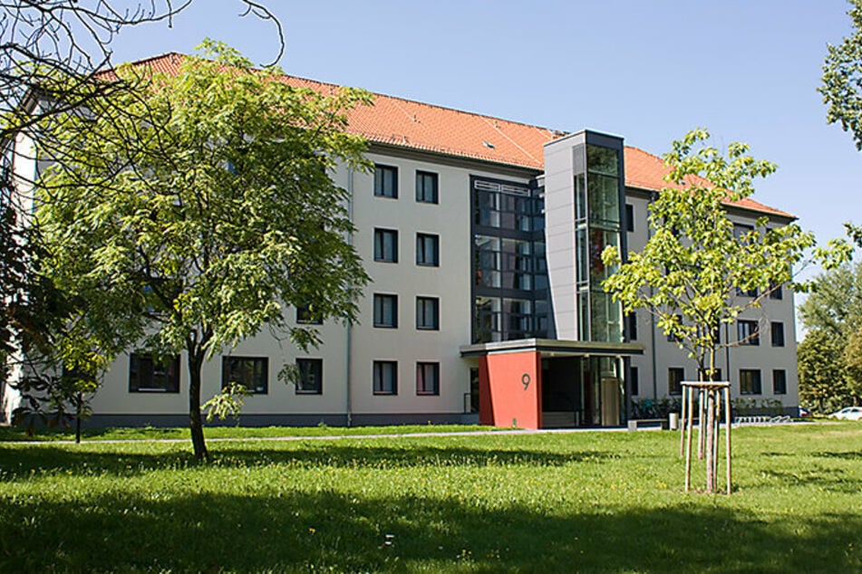 Damit Schmetterlinge und Insekten sich in Chemnitz wohlfühlen: Die Fläche vor dem Eingang zum TU-Gebäude Thüringer Weg 9 soll zur Blühwiese werden.