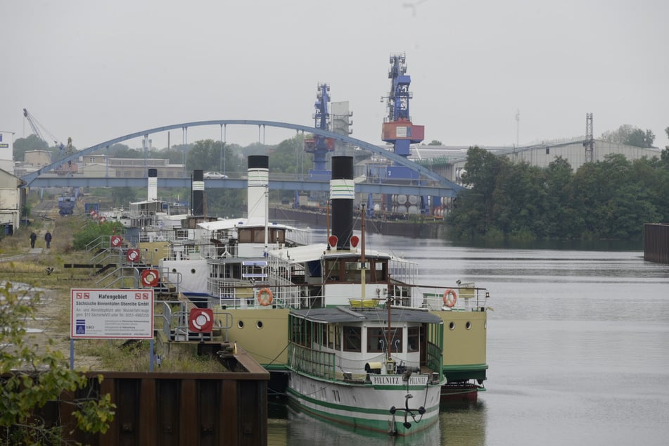 Die Weiße Flotte hat in Riesa angelegt.