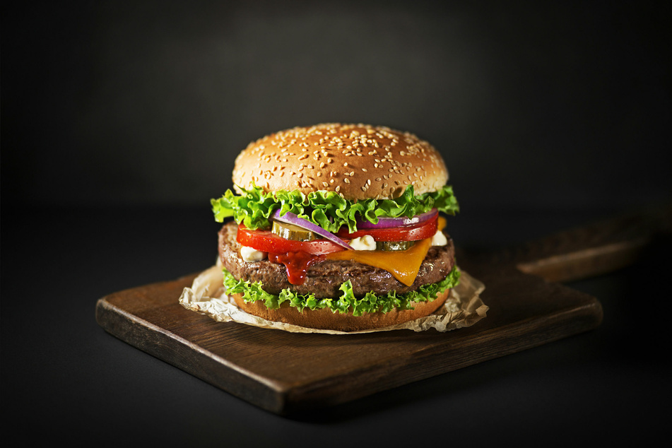 Gegen einen leckeren Burger haben scheinbar auch Möwen nichts einzuwenden.