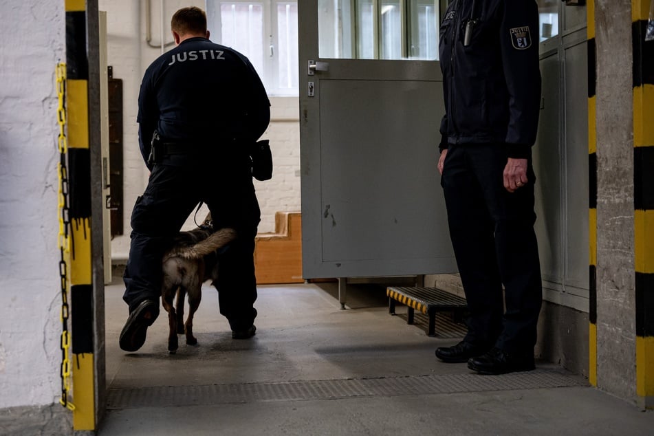 Drei neue Hunde sind in Berlins Gefängnissen für das Erschnüffeln von Datenträgern im Einsatz. (Archivbild)