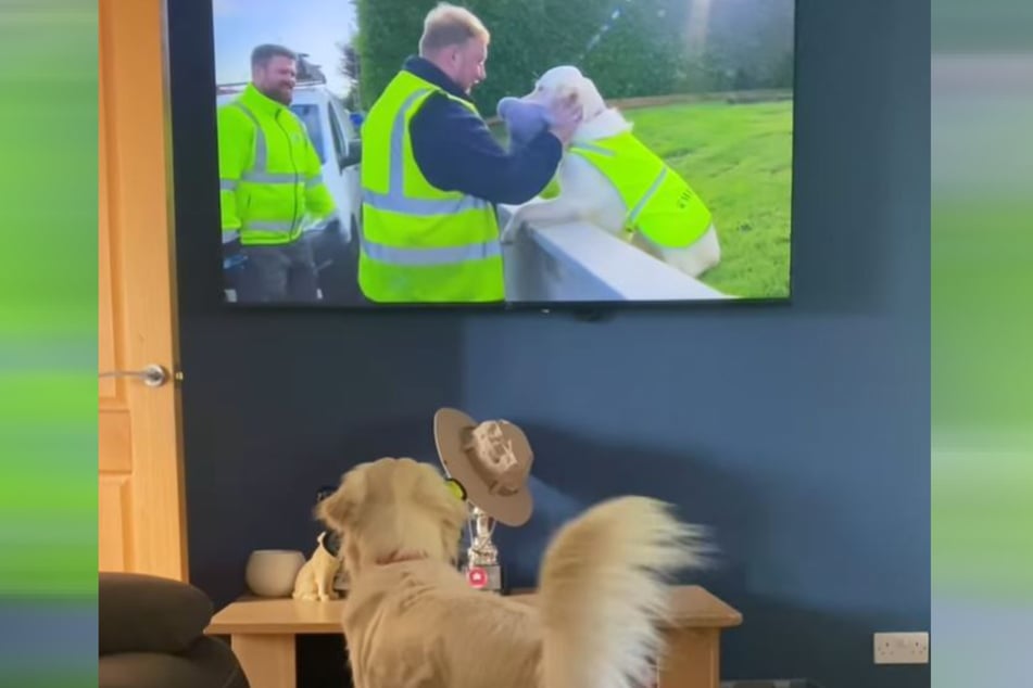 This dog loves saying hi to her trash collector buddies.