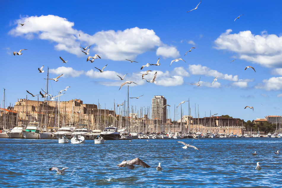 Die südfranzösische Hafenstadt Marseille. Das Herz der Stadt ist der alte Hafen Vieux-Port, wo Fischer ihren Fang direkt an der Anlegestelle verkaufen.
