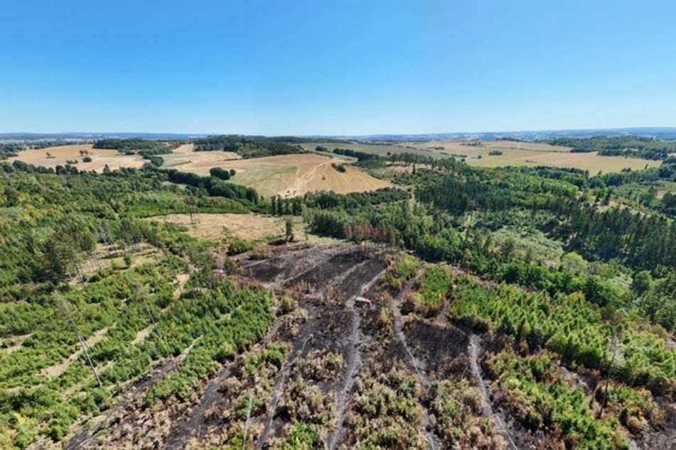 Seit dem Ausbruch des Feuers am vergangenen Dienstag kämpften die Einsatzkräfte unermüdlich gegen die Glutnester in dem rund sieben Hektar großen Waldgebiet "Schwarzes Holz", um die Fläche brandfrei zu bekommen.