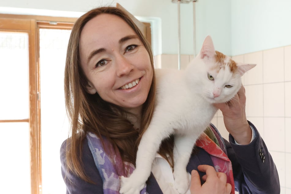 Sozialbürgermeisterin Kristin Kaufmann (49, Linke) ist großer Katzen-Fan und hofft, dass auch dieser Stubentiger bald ein neues Zuhause findet.