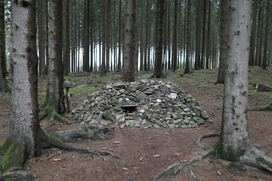 Die Beamten durchsuchten bei einem Großeinsatz 17 Wohnungen und ein Waldstück. (Symbolbild)