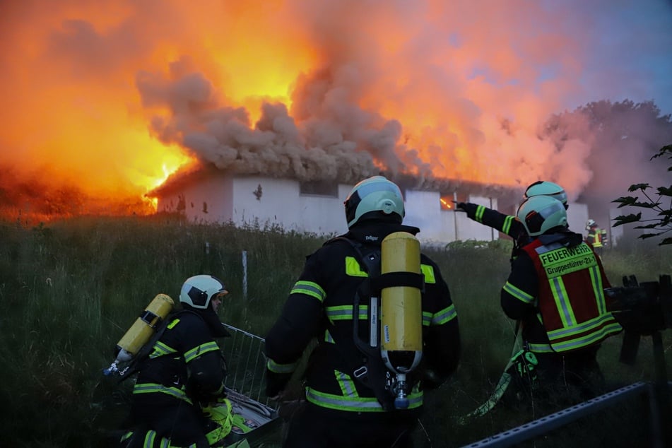 Flammeninferno in Hühnerstall hält Feuerwehr in Atem, Polizei prüft Brandstiftung