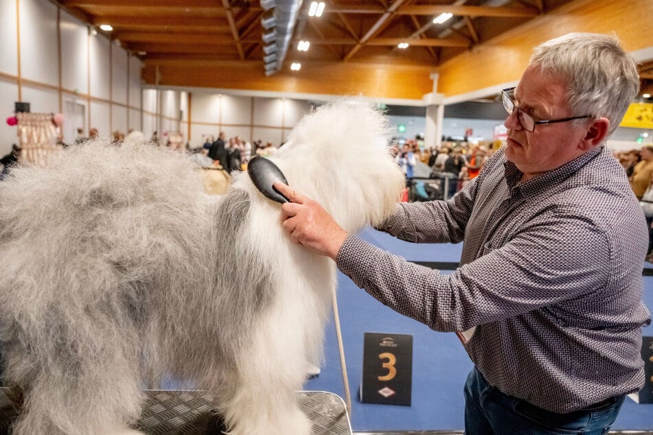 Auf der Messe "Tierwelt" dreht sich alles um verschiedenen Heimtierarten.