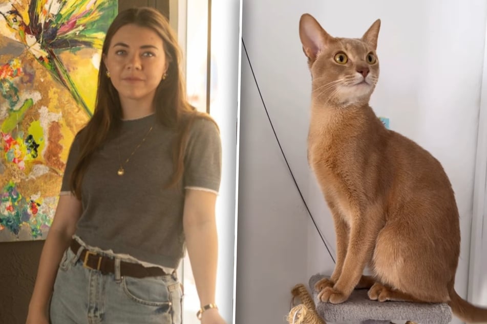 Lina Redford musste ihren Kater Sinbad kürzlich für einen Monat bei ihrer Mutter lassen.