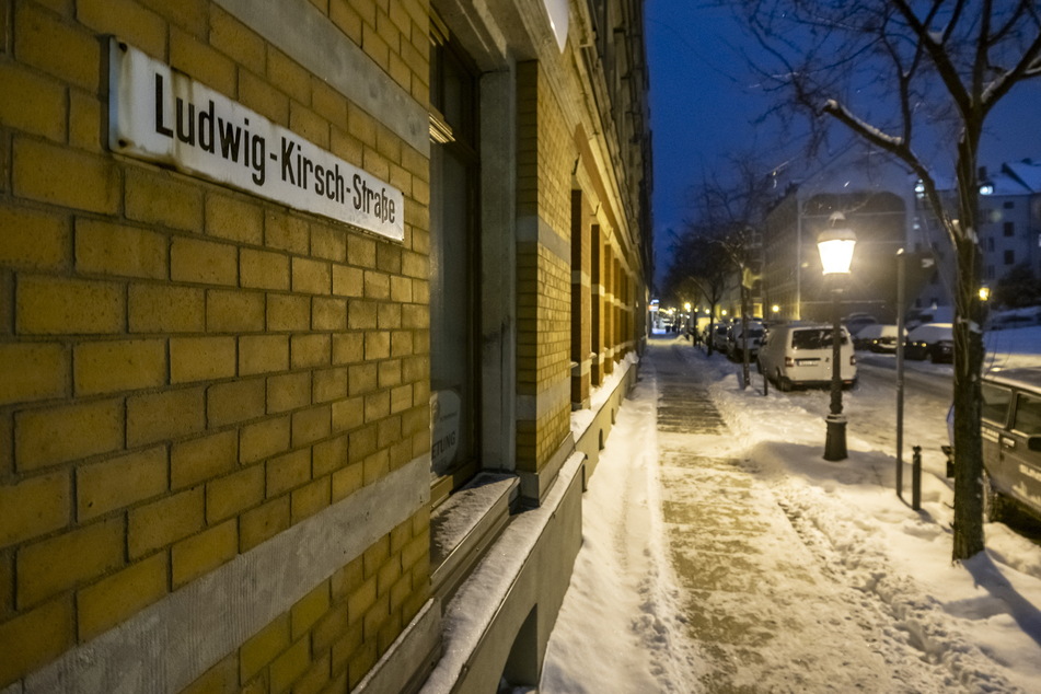 In der Chemnitzer Ludwig-Kirsch-Straße soll eine Frau ein kleines Kätzchen aus dem fünften Stock geworfen haben.