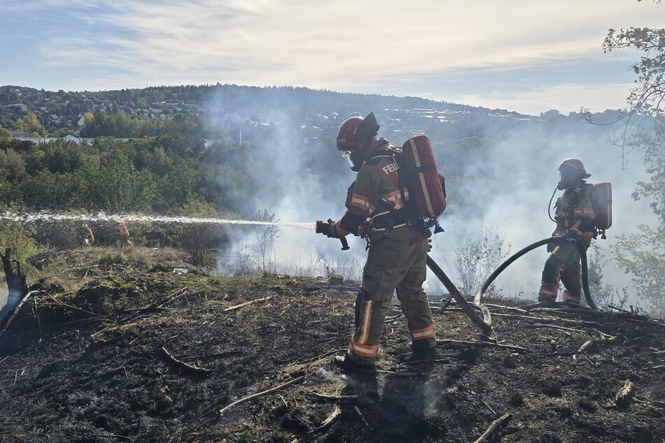Wieder Waldbrand im Vogtland: Anwohner sollen Türen und Fenster geschlossen halten