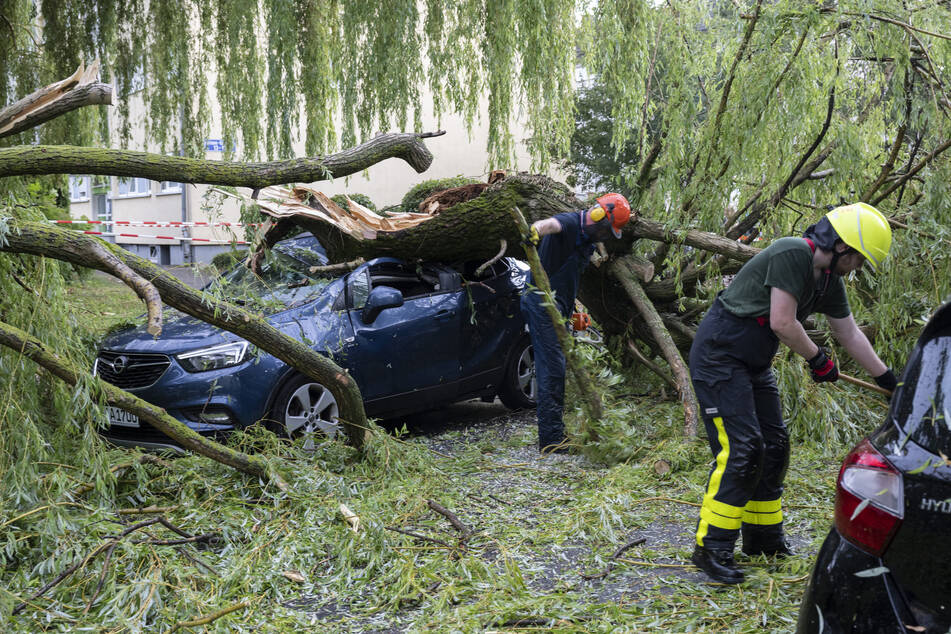 Nach einem schweren Unwetter räumen Feuerwehrleute Baumäste von einem geparkten Auto.