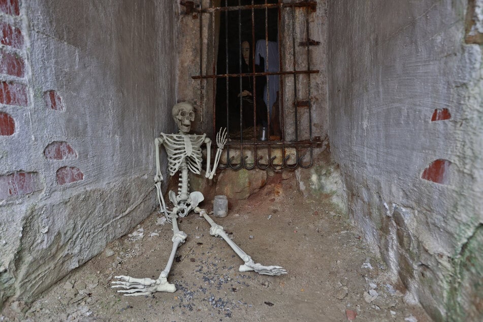 Im Blankenburger Schloss erwartet Besucher eine spannende Escape-Aktion. (Archivbild)