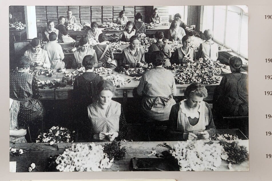 Meisterinnen der Geduldsarbeit: Kunstblumenherstellung vor hundert Jahren in Sebnitz.