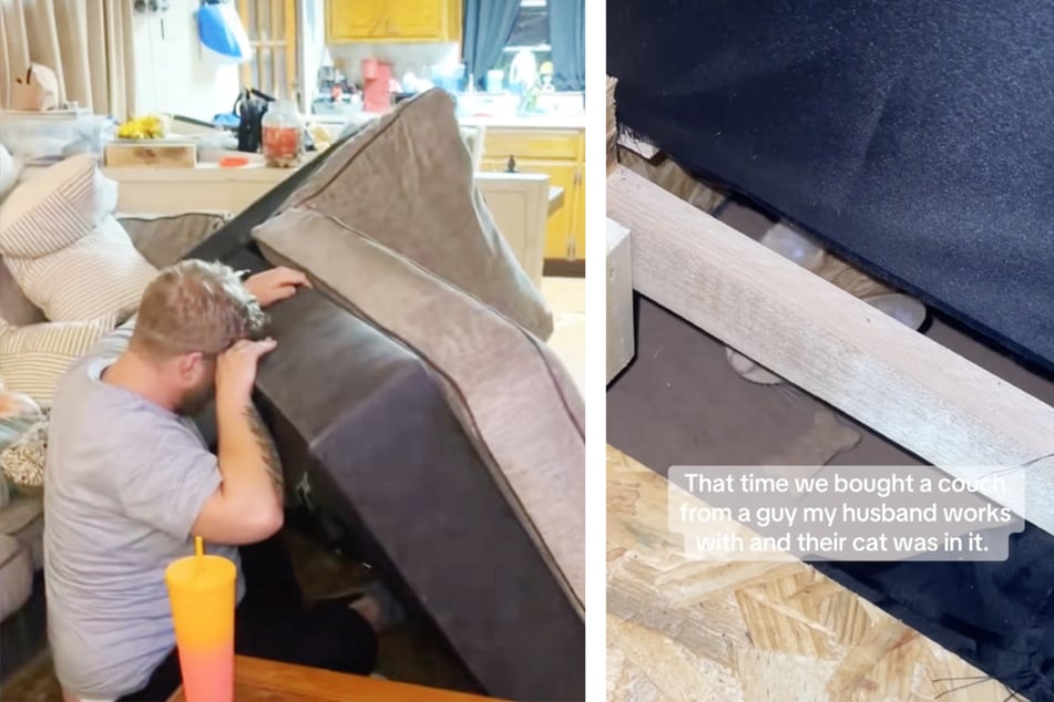 Nach dem Kauf einer gebrauchten Couch vernahmen die neuen Besitzer ein ungewöhnliches Geräusch aus dem Inneren des Möbelstücks.