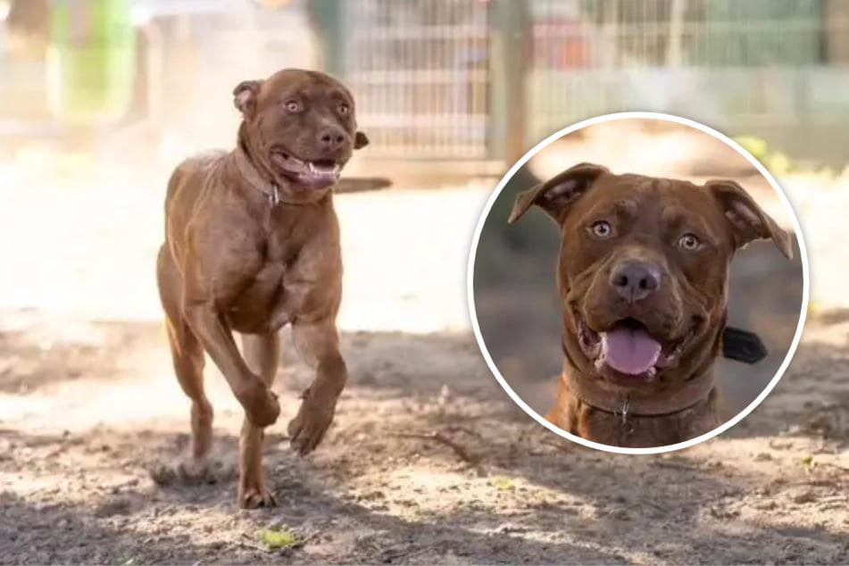 Er steht auf Frauen und hat ein Problem mit Männern: Wer erlöst Tamme?