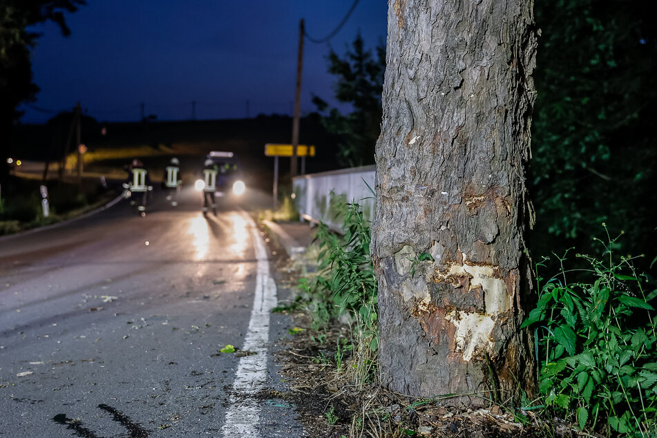 Der Ford knallte in Thoßfell auf der Wetzelsgrüner Straße frontal gegen einen Baum.
