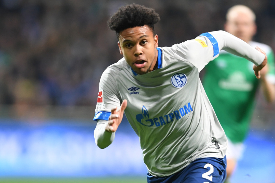 Holt sich Hertha Schalkes Weston McKennie?